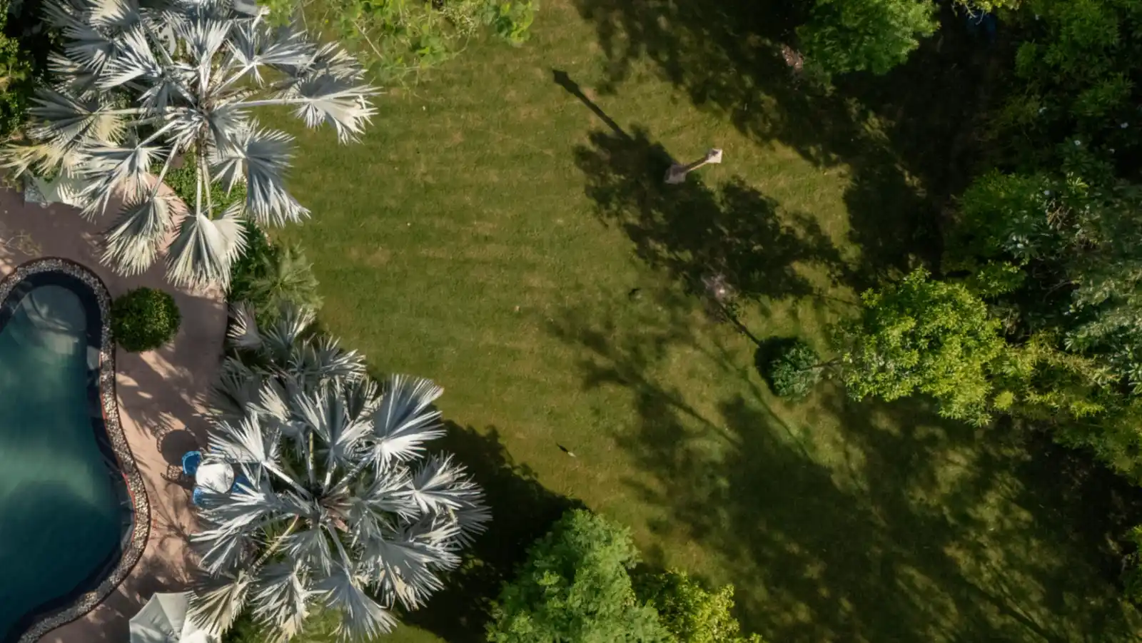 Main Lawn