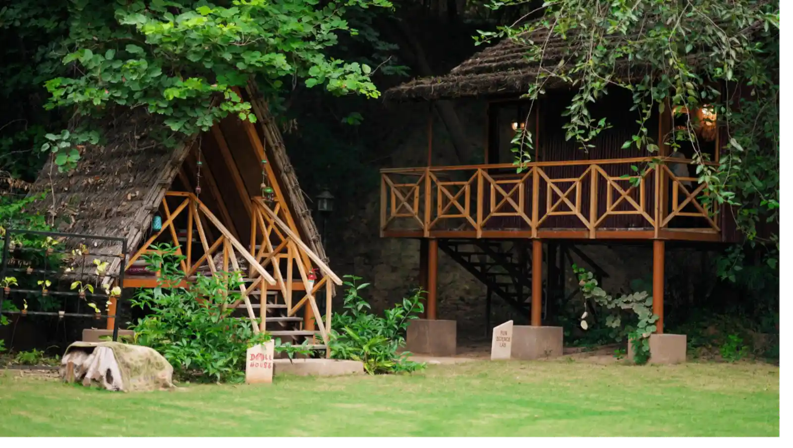 Tree House Lawn
