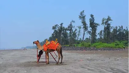 Nagaon Beach