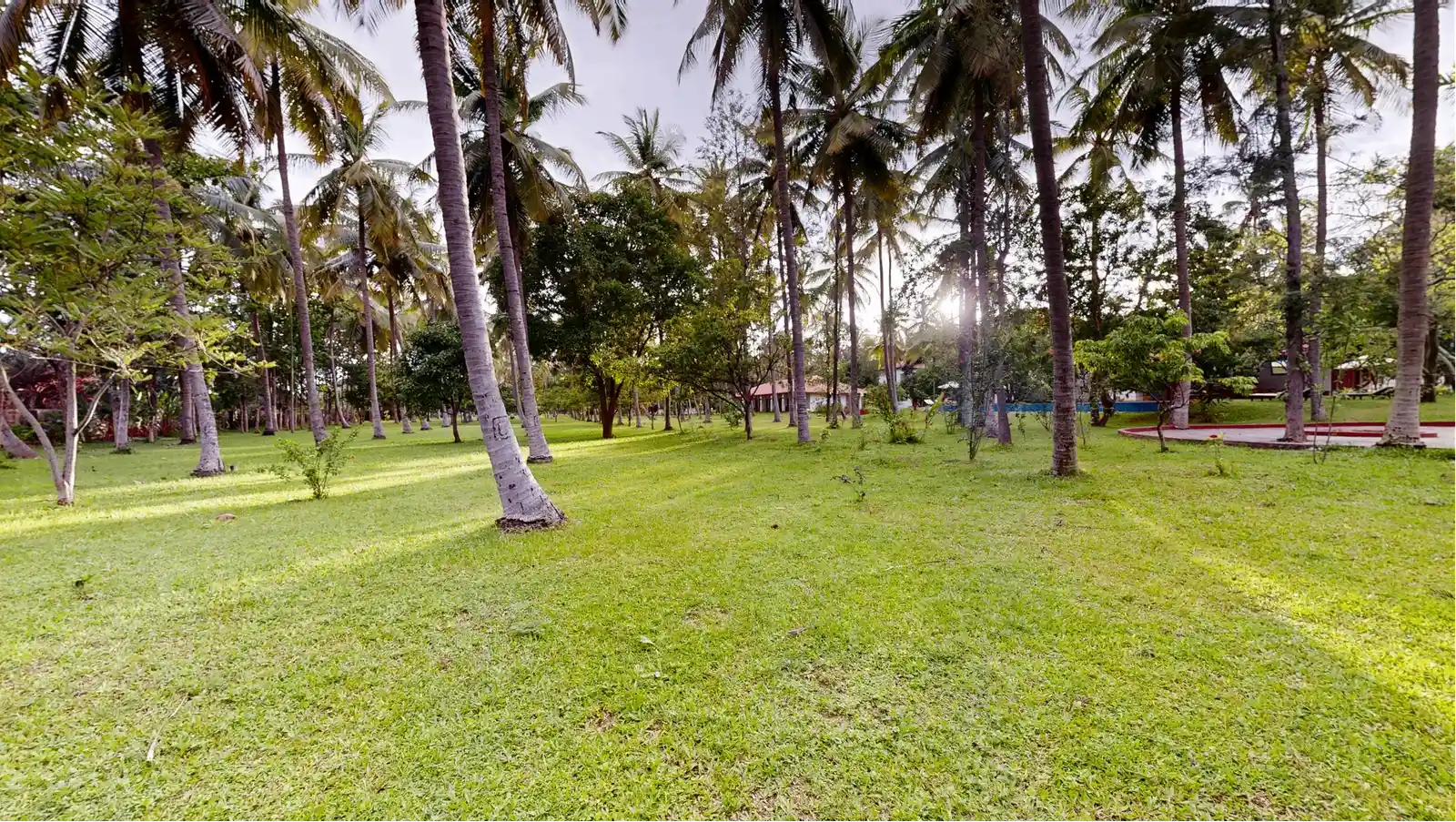 Lawn