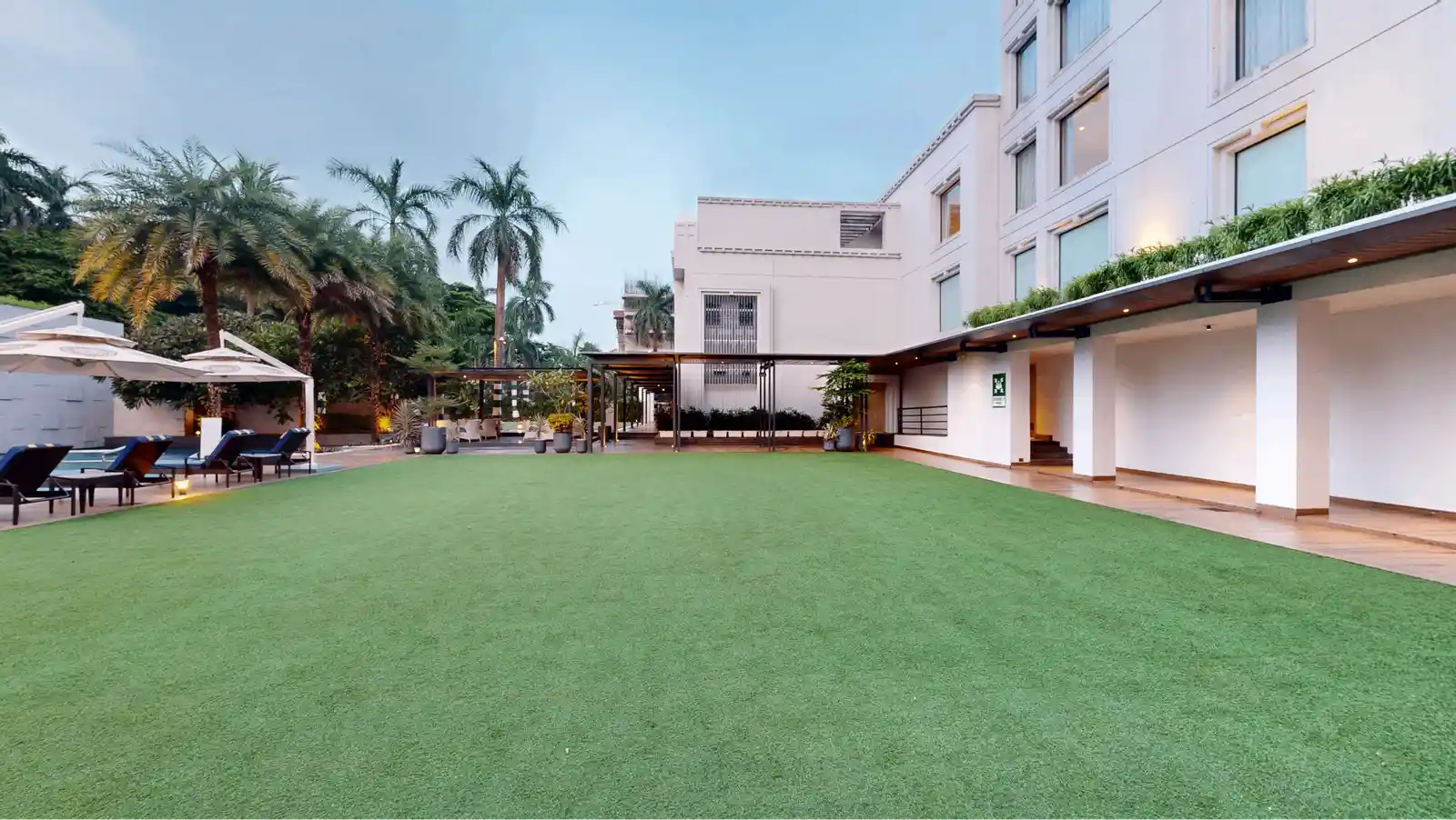 Plumeria Lawn