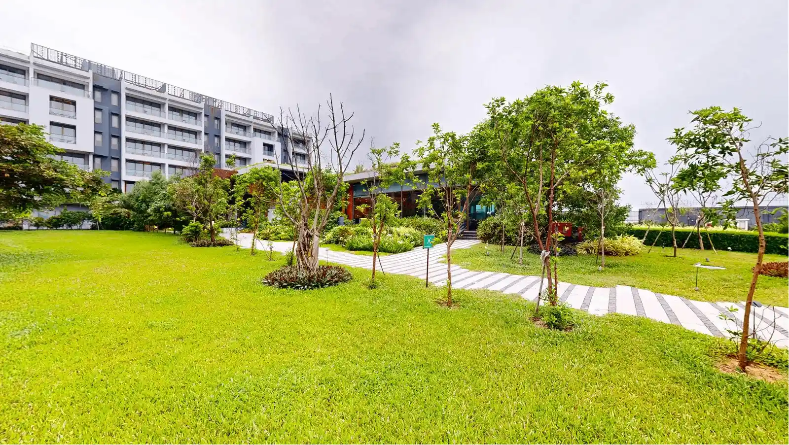 Central Lawn 