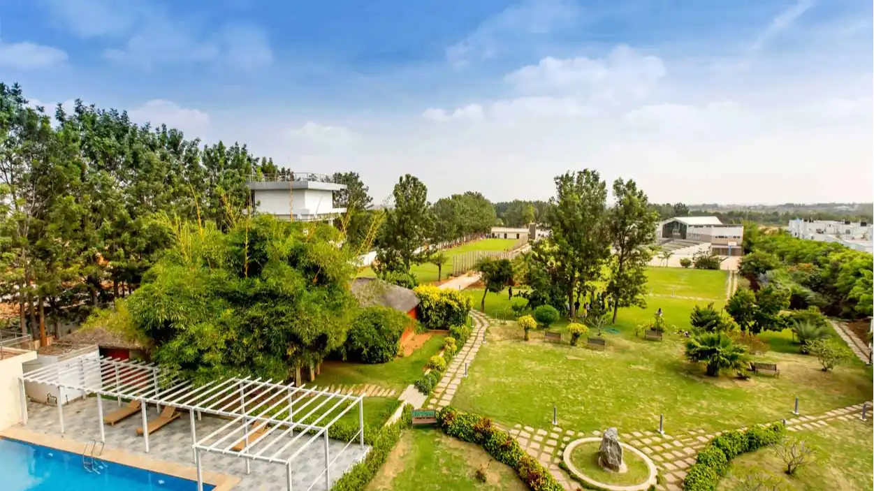 Lush Green Lawn