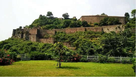 Lawn