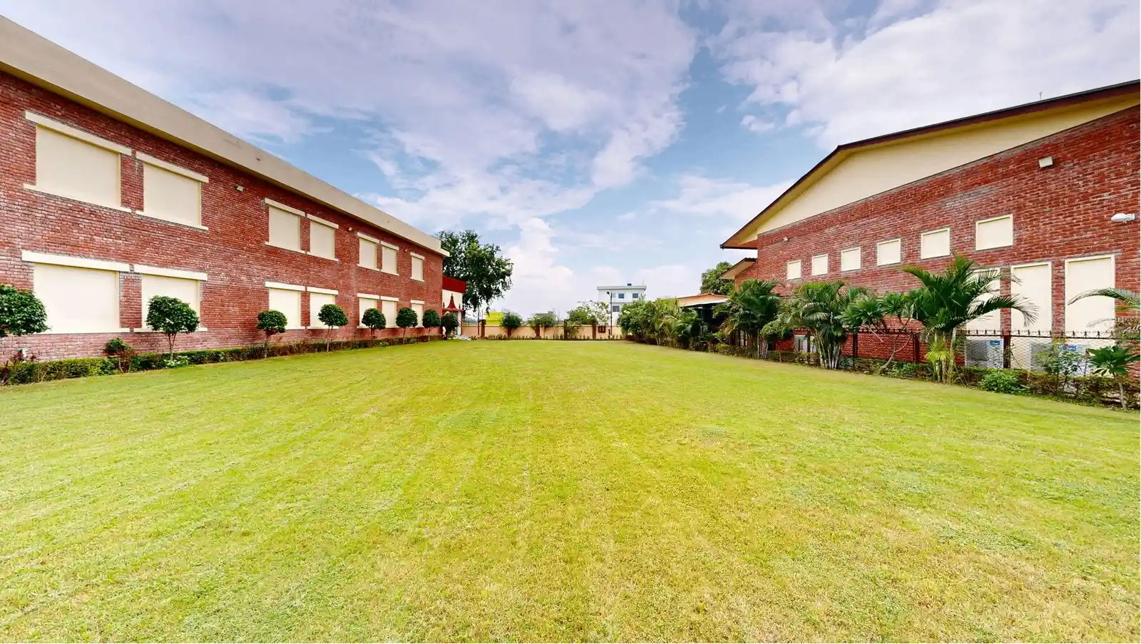 Rose Lawn