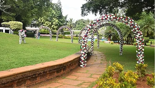 Lawn