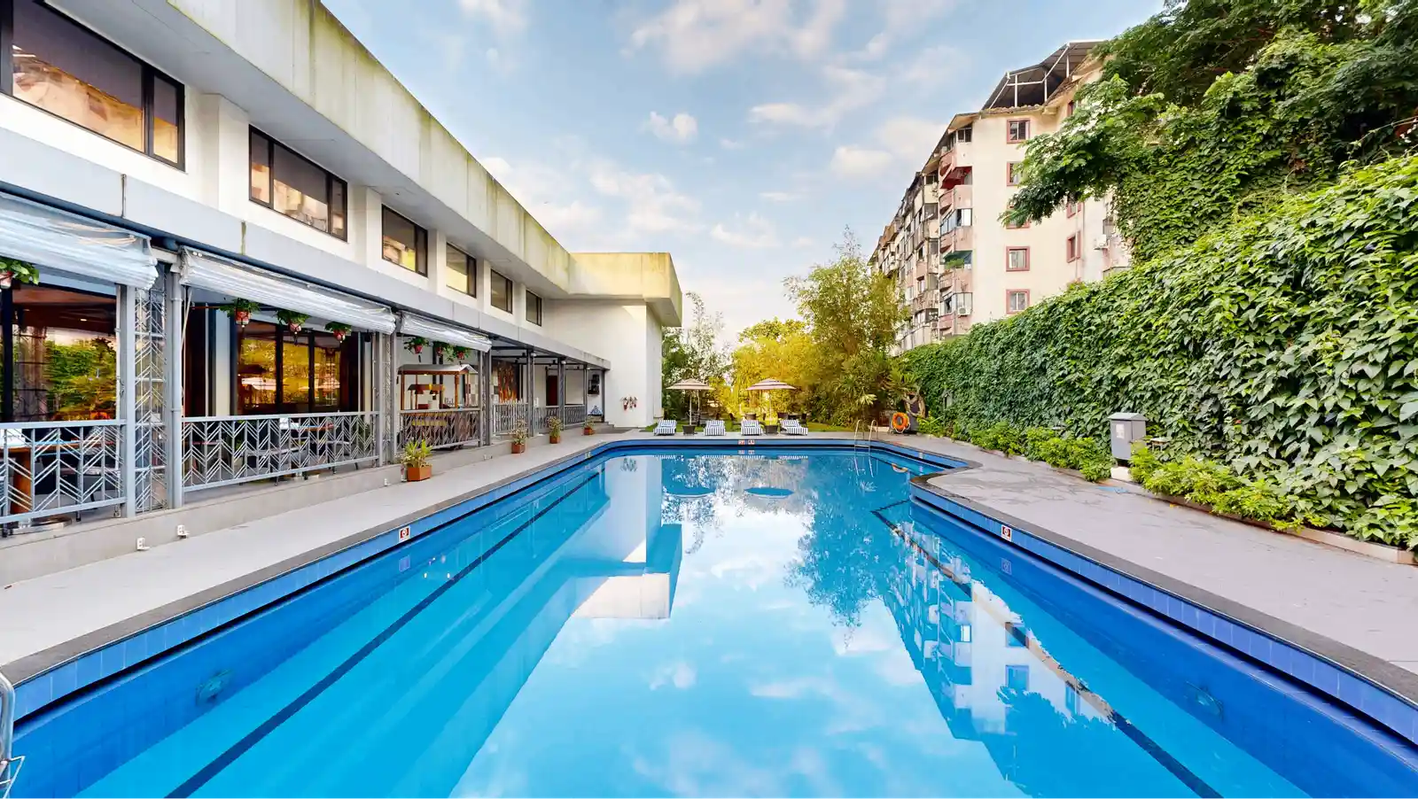 Pool Lawn Area