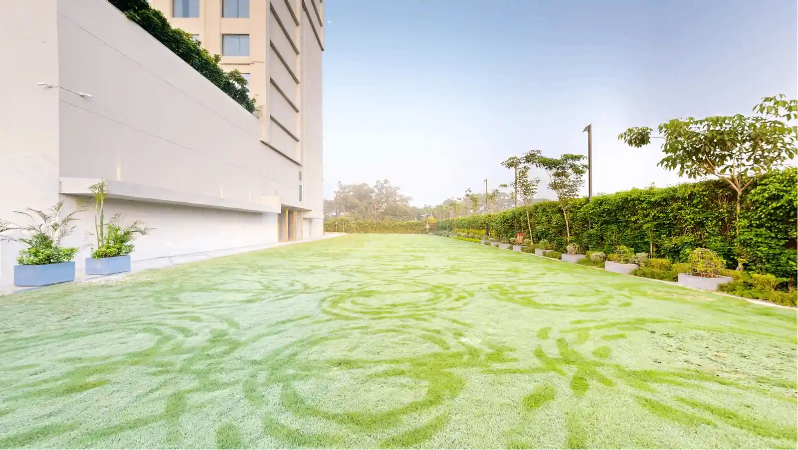 The Lawn
