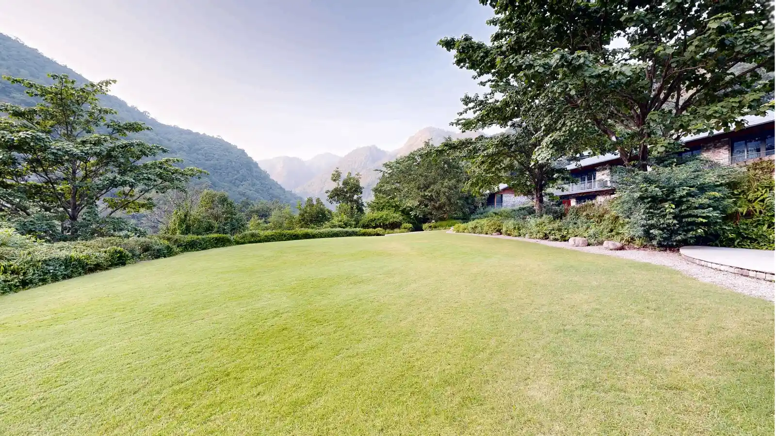 Sports Lawn